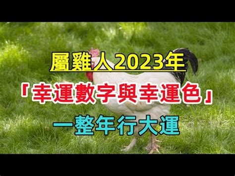 1969屬雞2023幸運色